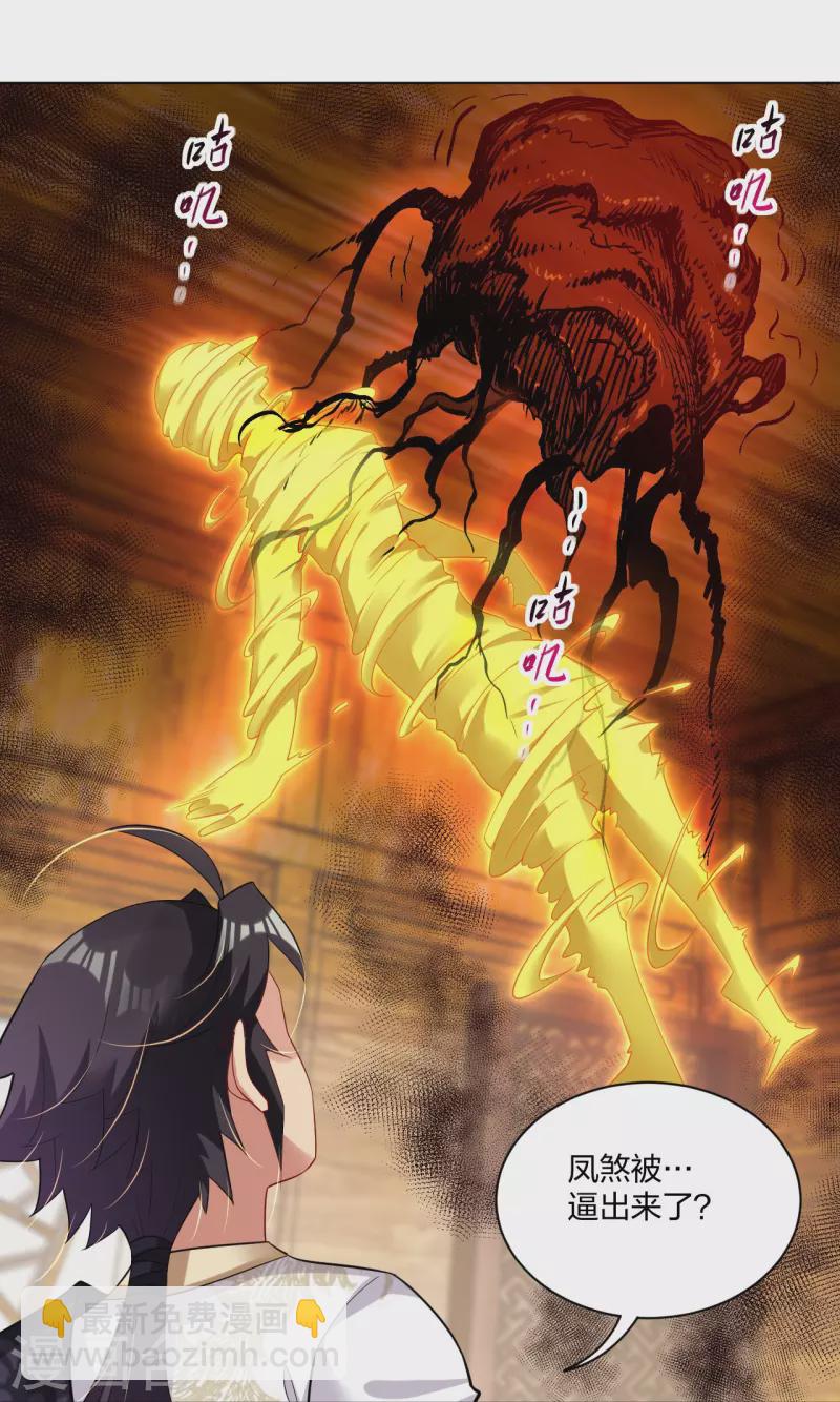 第245话 凤凰珠认主-第258话