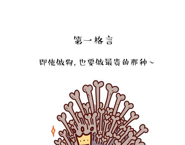 第14 单身狗须知的几条格言！-第14话