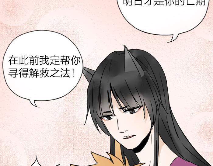 第31话 你才是驴呢！(1/2)-第36话