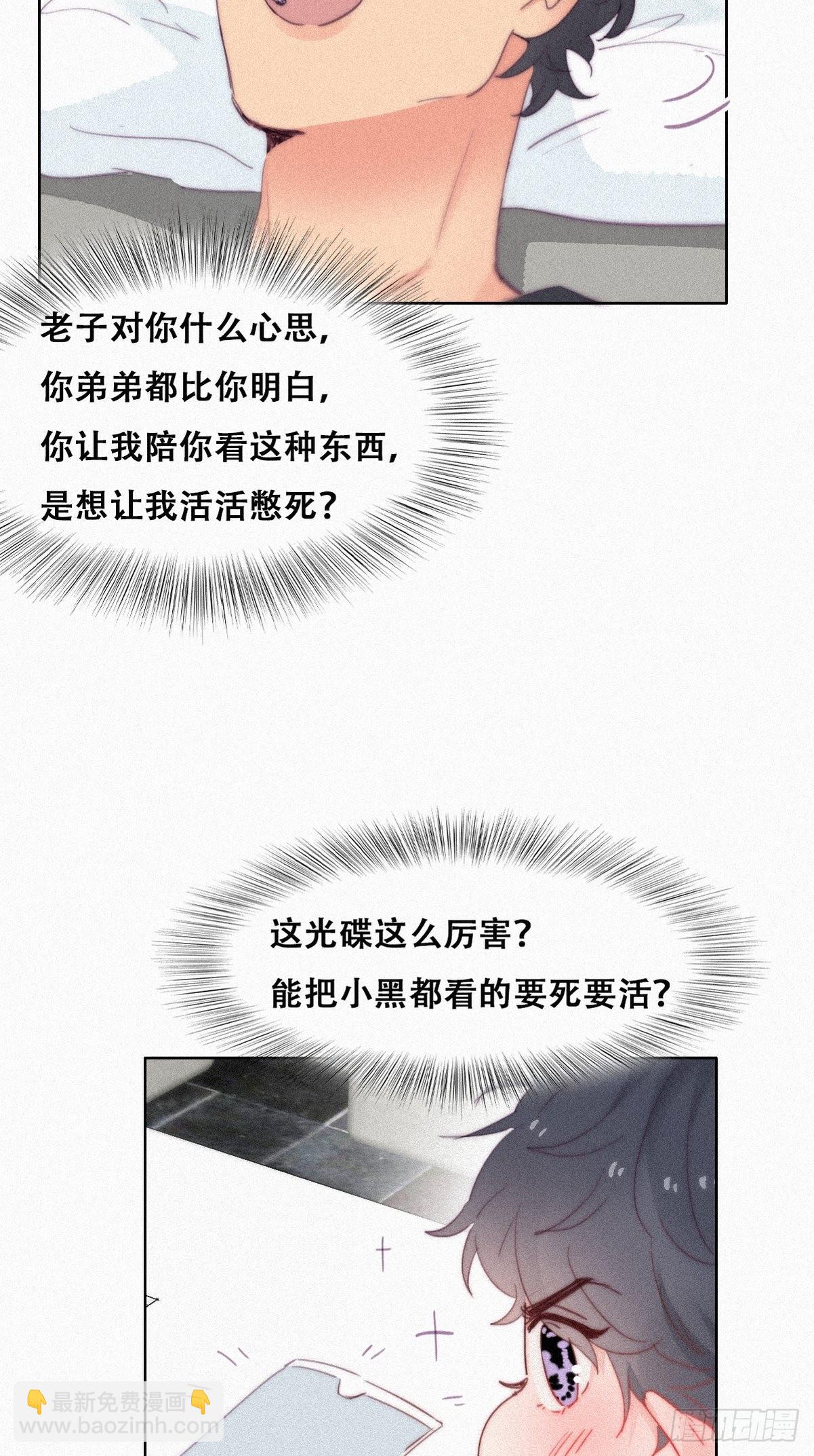 第212话 一起看碟-第220话
