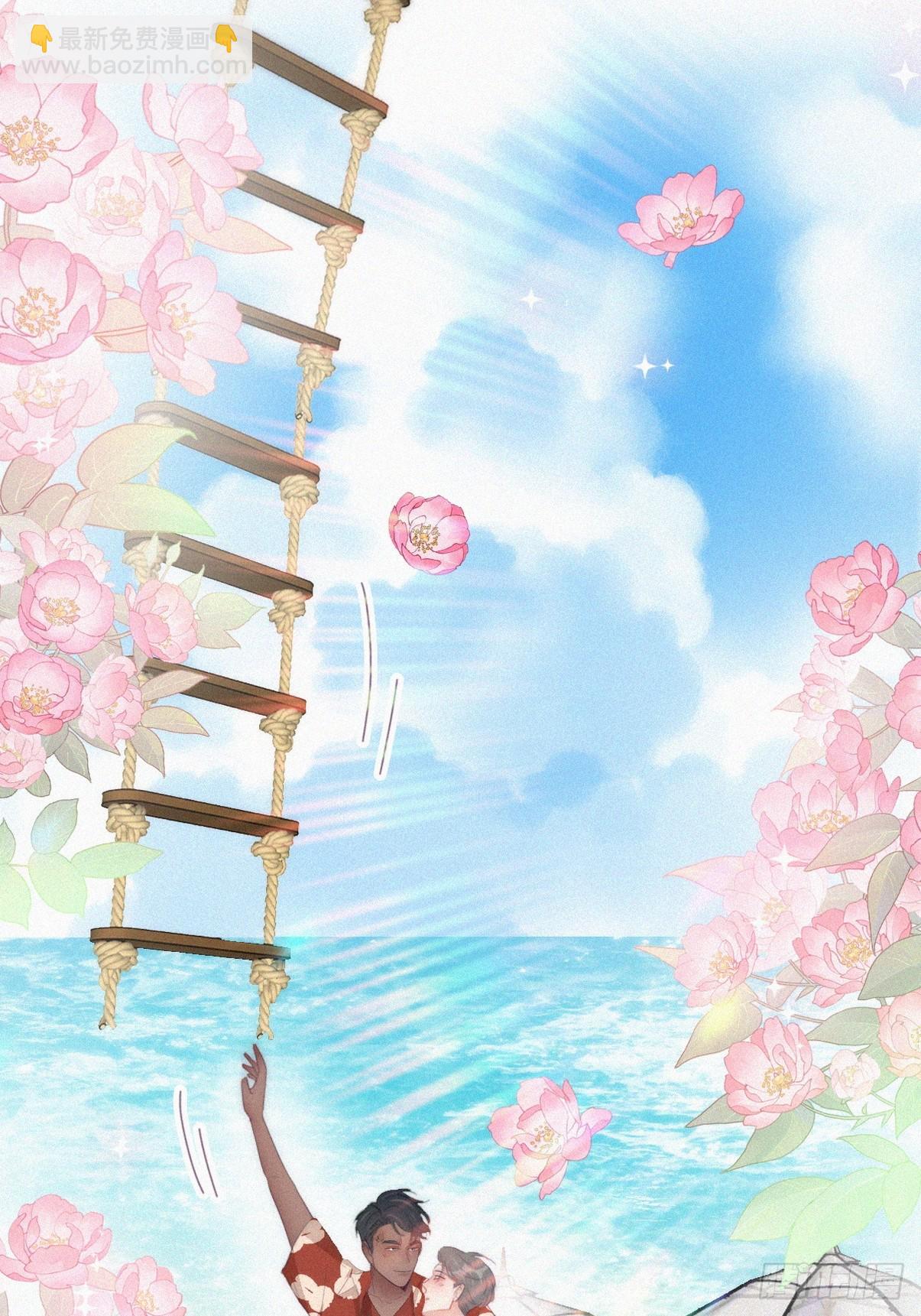 第二季 第41话 追来的小黑(1/2)-第292话