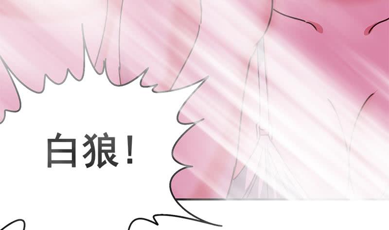 第145话 杀入四强(1/2)-第146话
