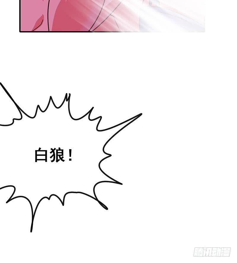 第145话 杀入四强(1/2)-第146话