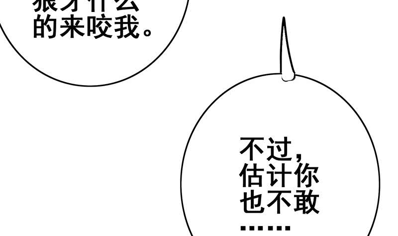 第149话 玩儿命(1/2)-第150话