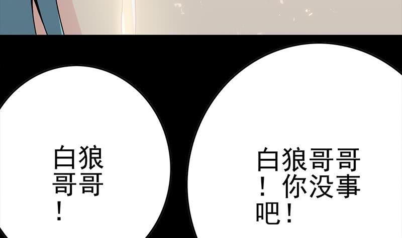 第229话 白狼晕倒(1/3)-第230话