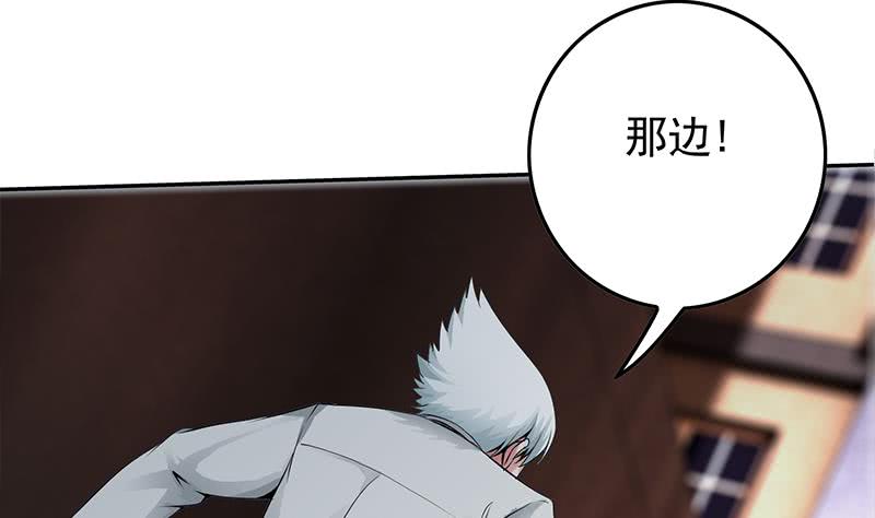 第235话 白狼帮(1/2)-第236话