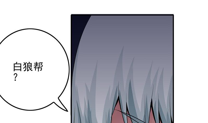 第235话 白狼帮(1/2)-第236话
