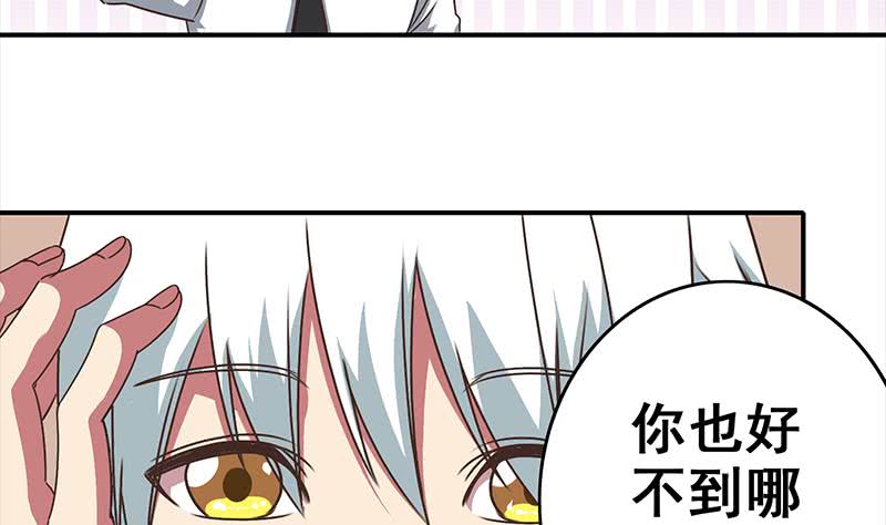 第49话 美女左拥右抱的感觉很爽？-第50话