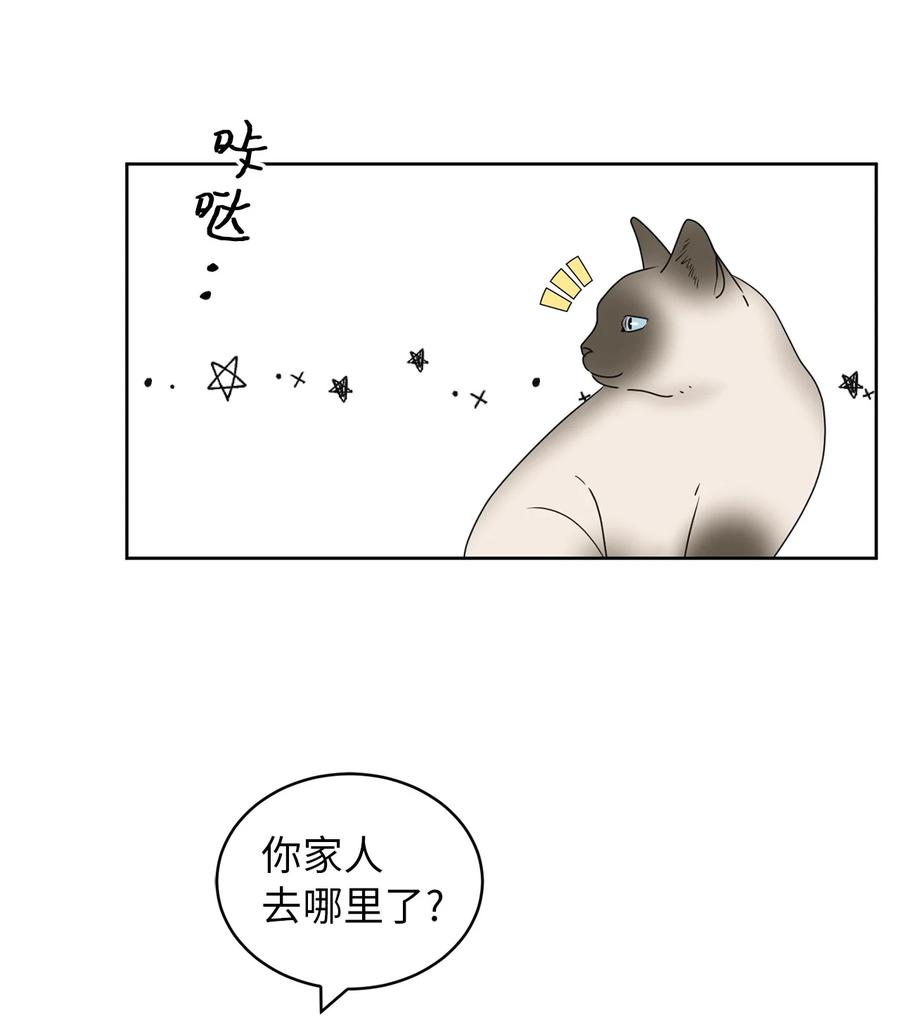 38 我在下边吗(1/2)-第38话