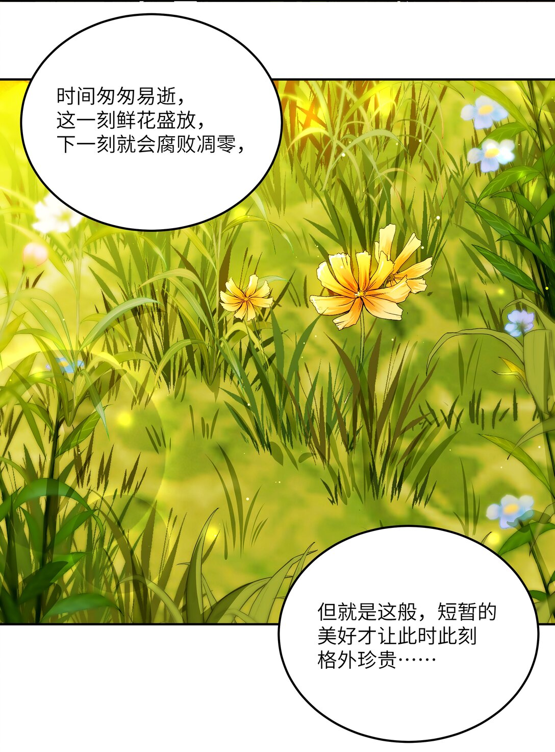 033 玫瑰是会凋零的-第34话