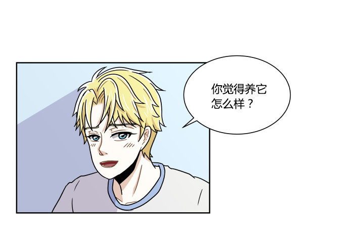 哀求-第34话