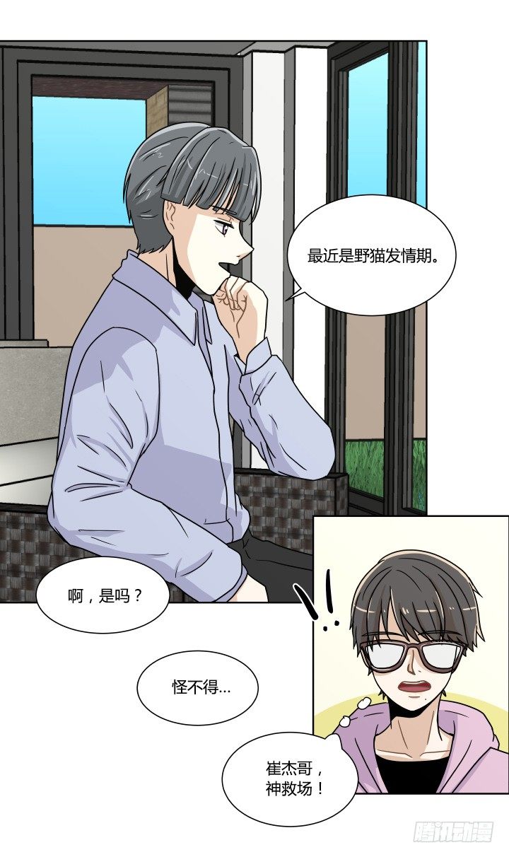 发情期-第36话