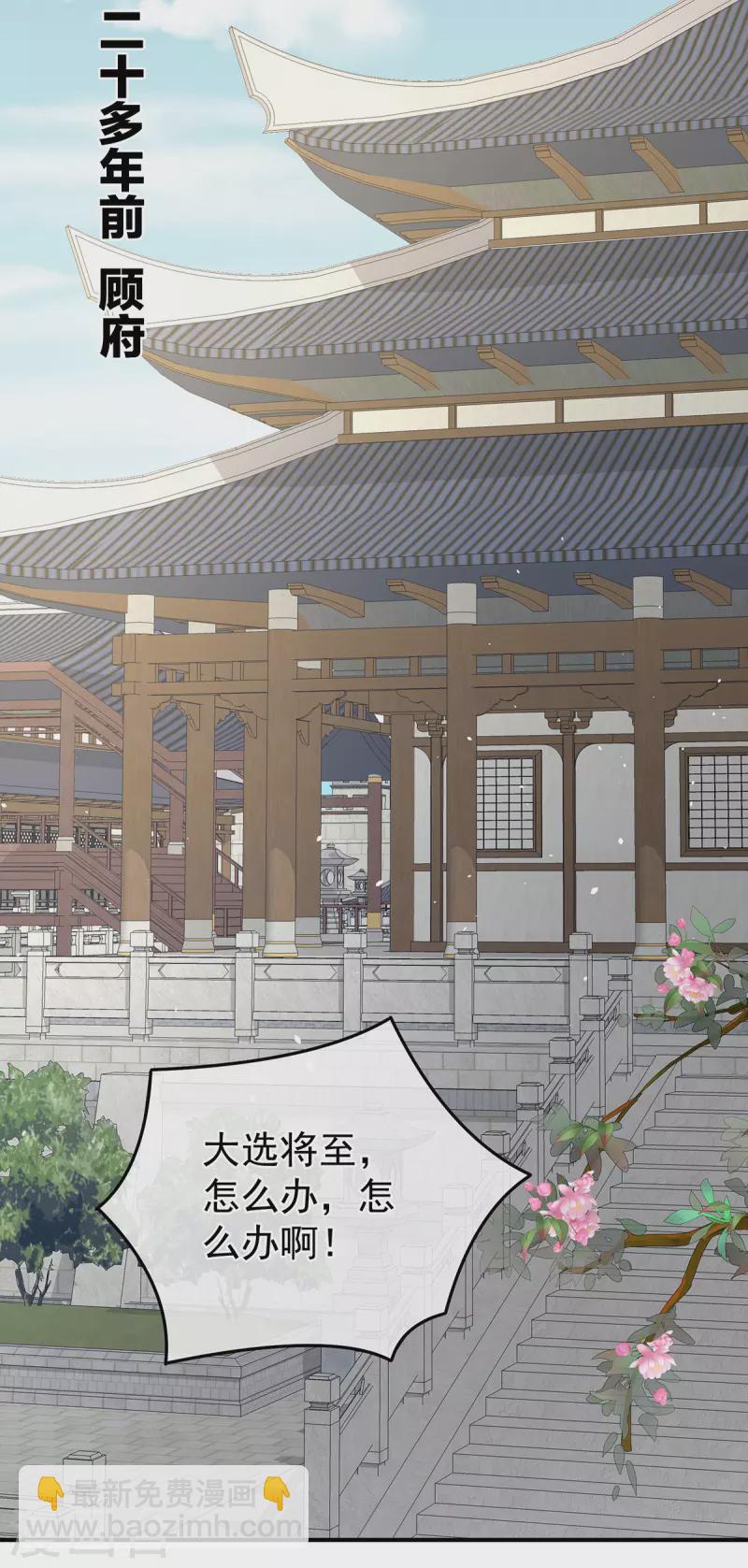 🍗女帝的后宫 第338话 替嫁秀男 第4页