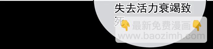 第185话 命悬一线(1/3)-第194话
