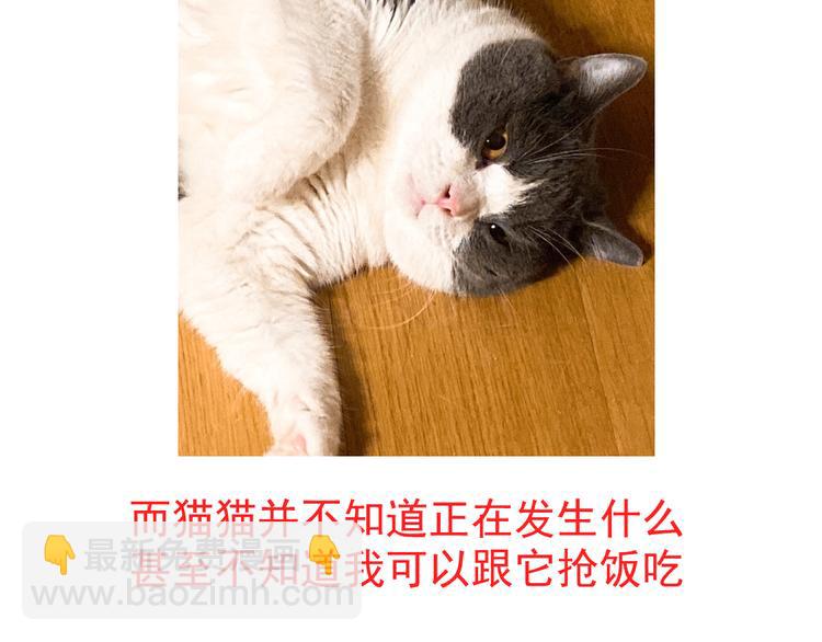 唠嗑+小番外-第240话