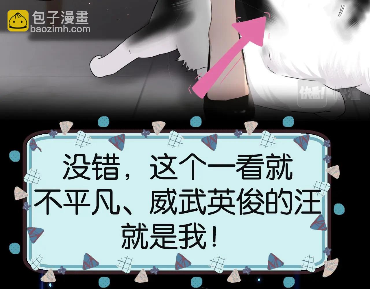 新作上线啦！！快来~(1/2)-第234话