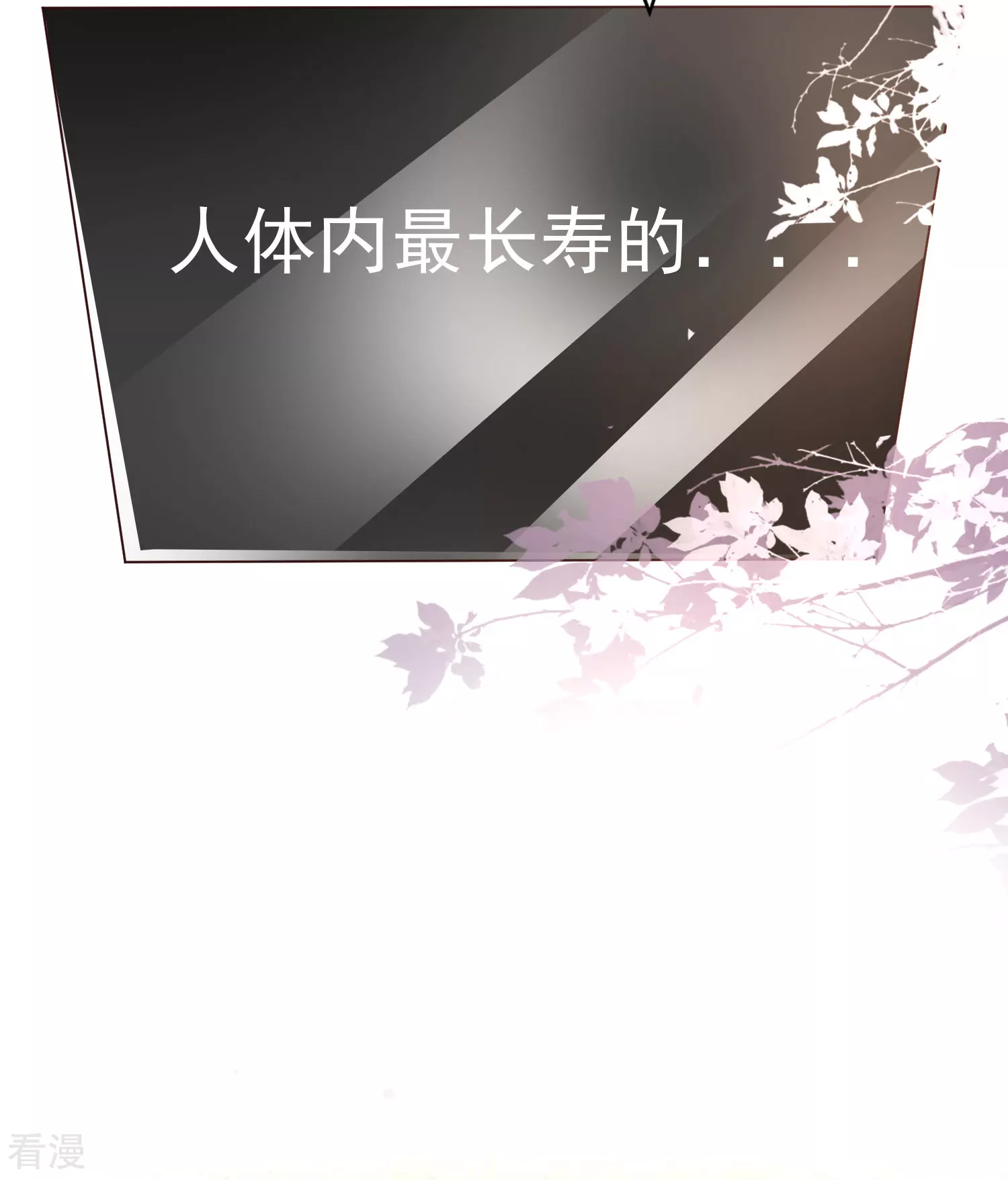 第82话 终究是我抗下了所有-第88话