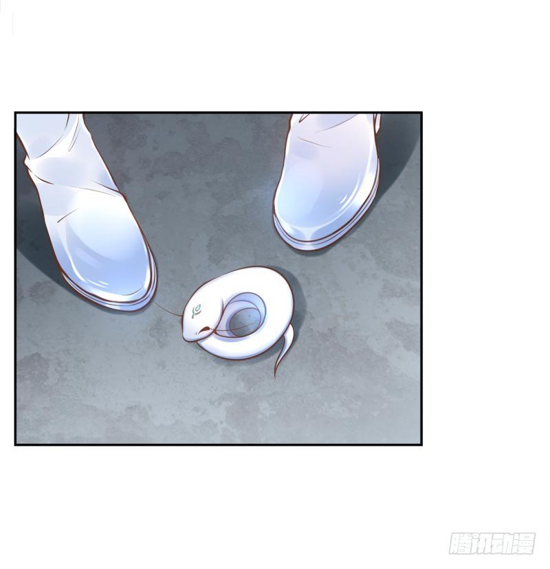 第14话：杀了吧！(1/2)-第14话