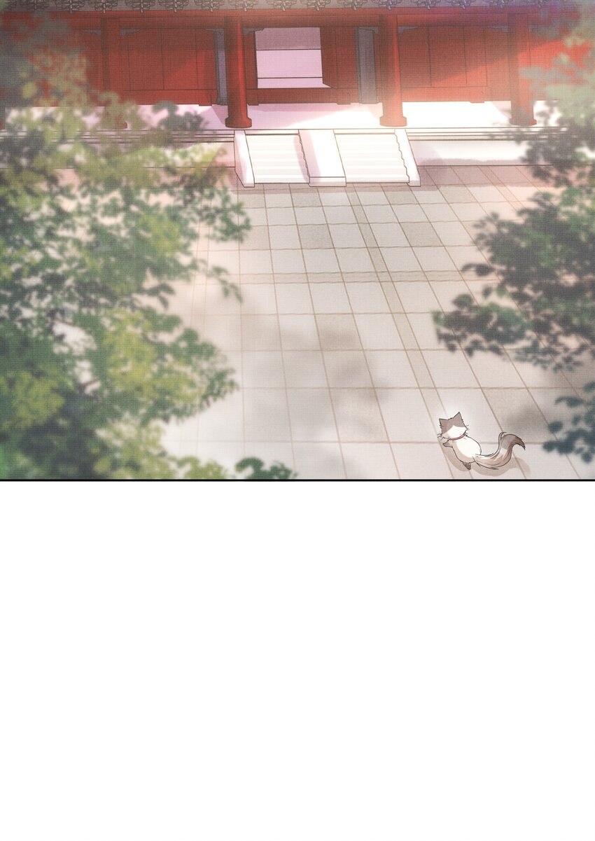 11 师尊，你就是我们想跟随的女人！(1/2)-第14话