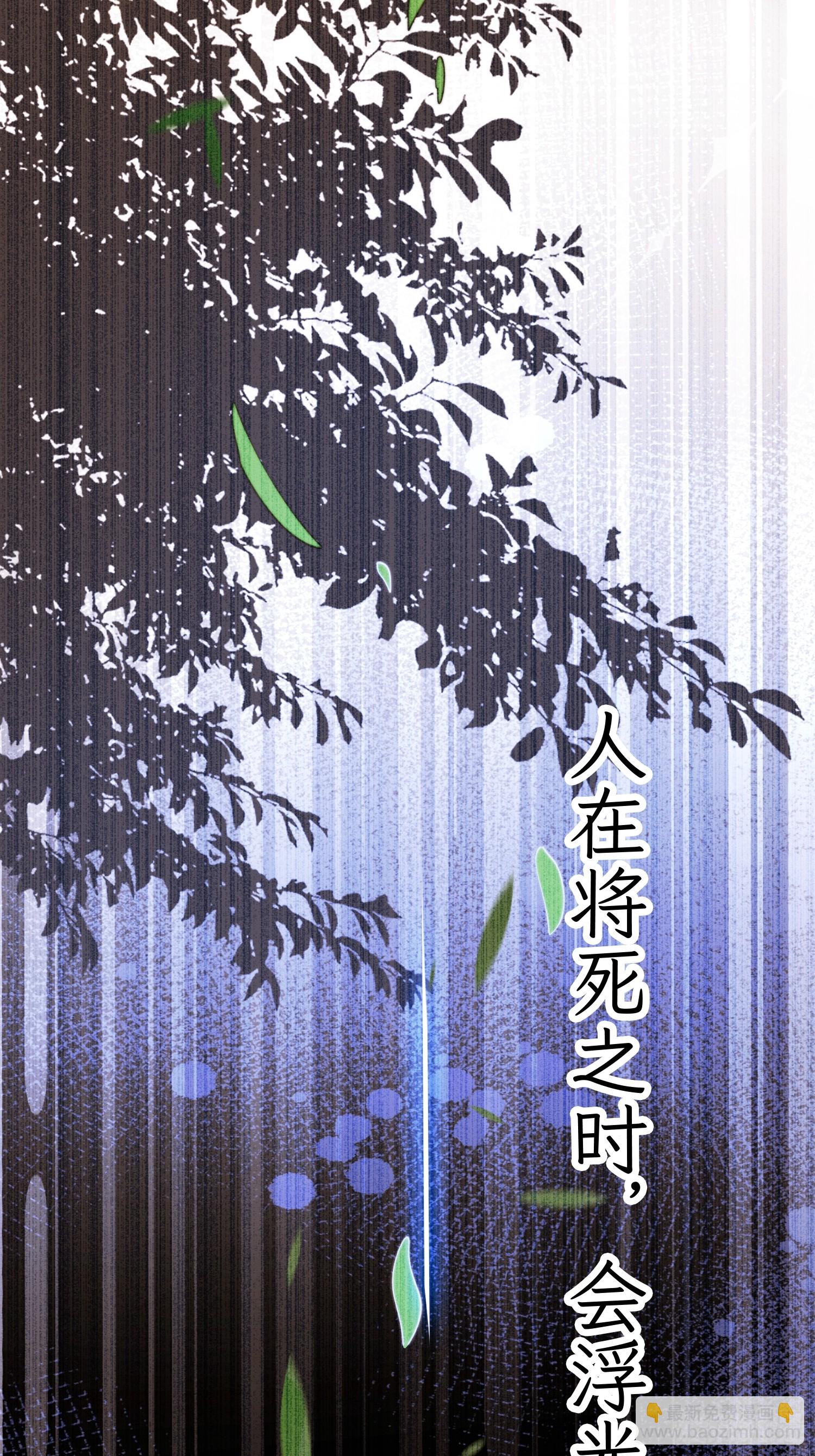 第210话 血祸篇结束啦！！！-第208话