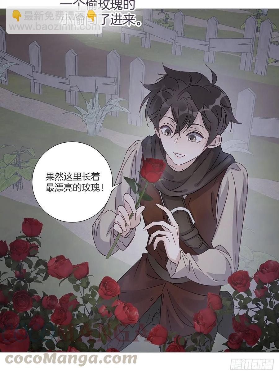 番外6 吸血鬼的玫瑰-第48话