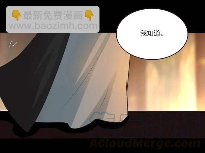 163 苏梨的抉择-第164话