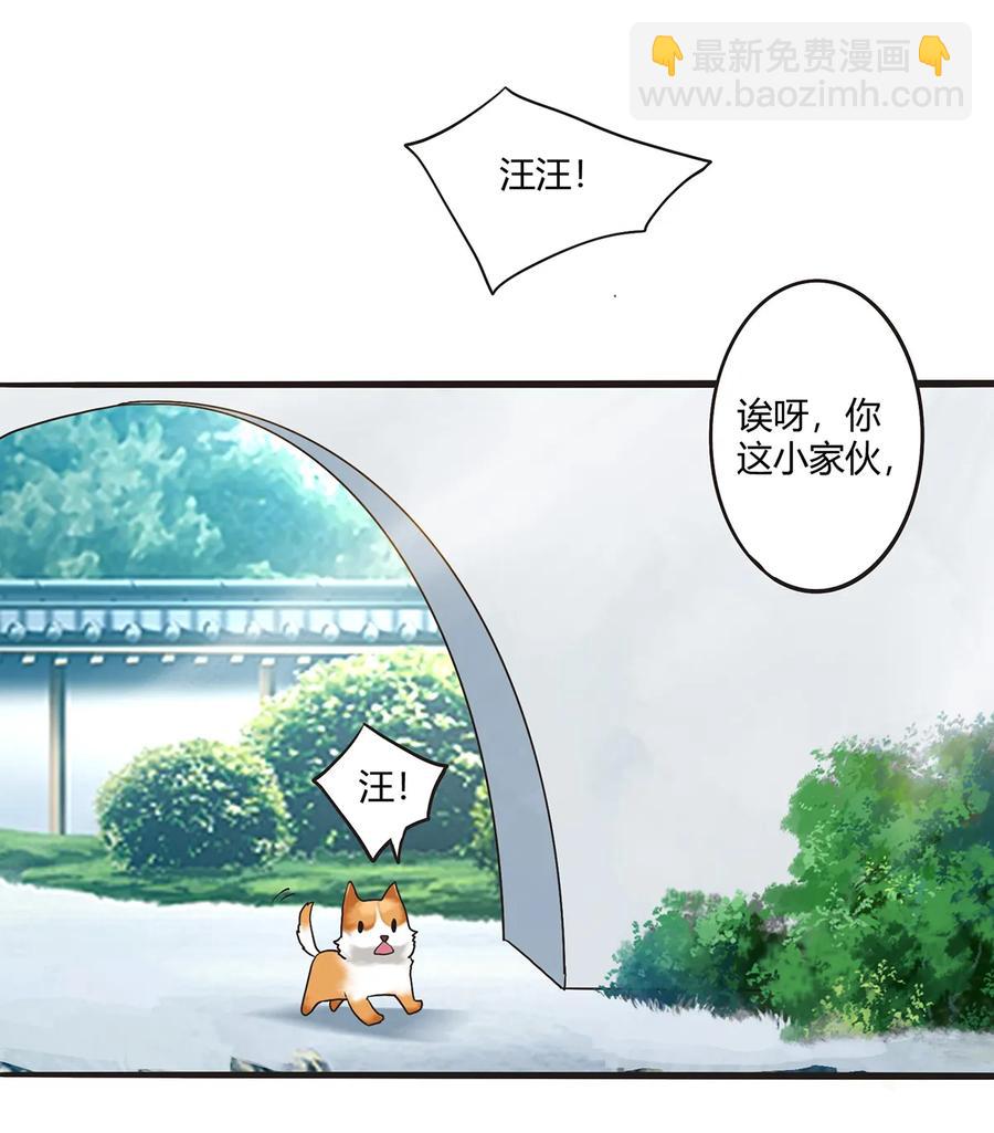 262 鬼蝶寨的危机-第264话