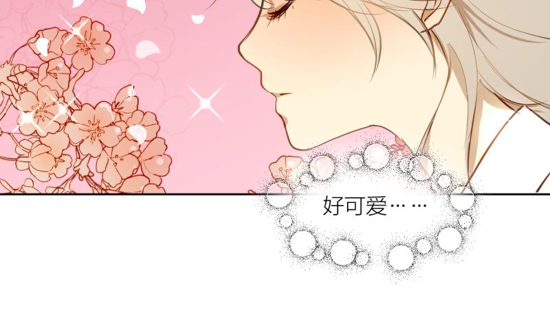 第24话 告白的勇者-第24话