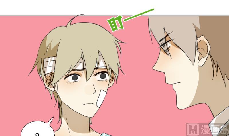 第48话 受伤的需静养-第48话