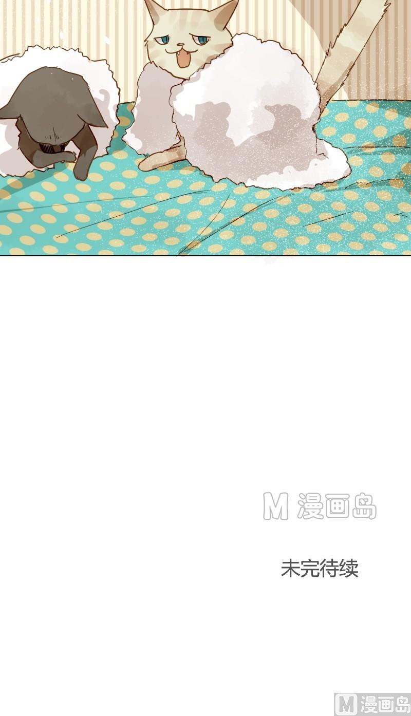第08话 人猫大战-第8话