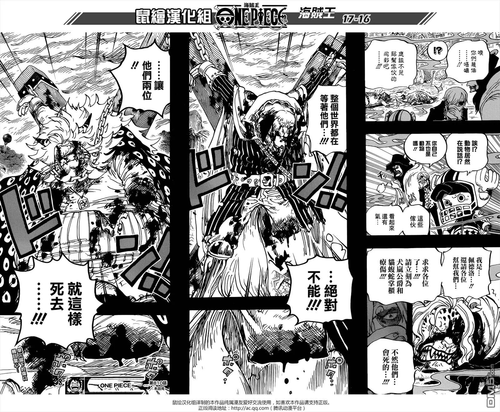 🍖ONE PIECE航海王 第810回 第16页