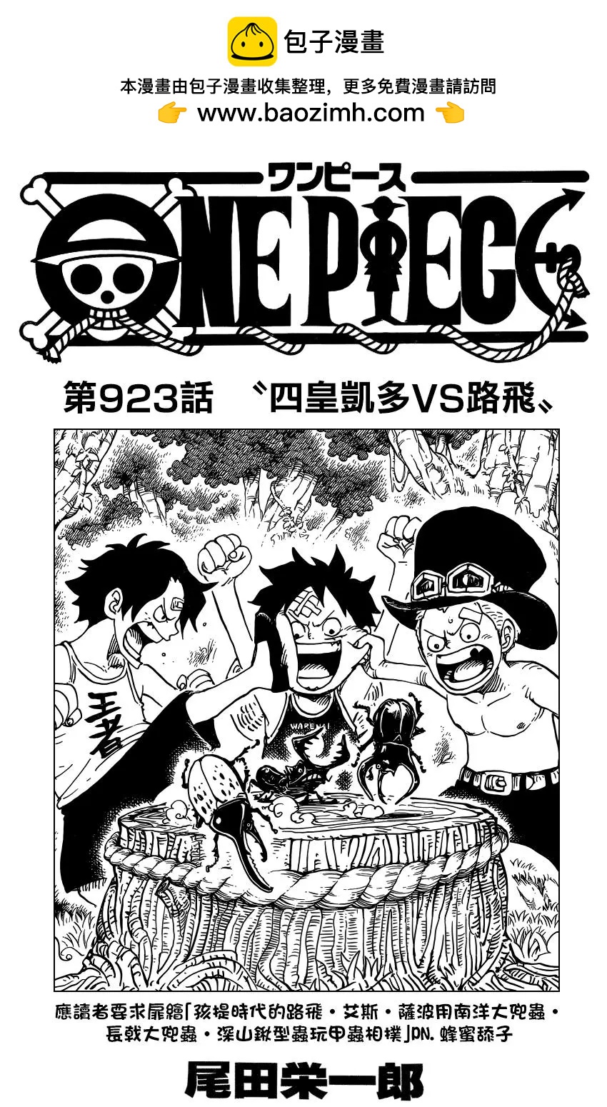 🍖ONE PIECE航海王 第923回 第2页