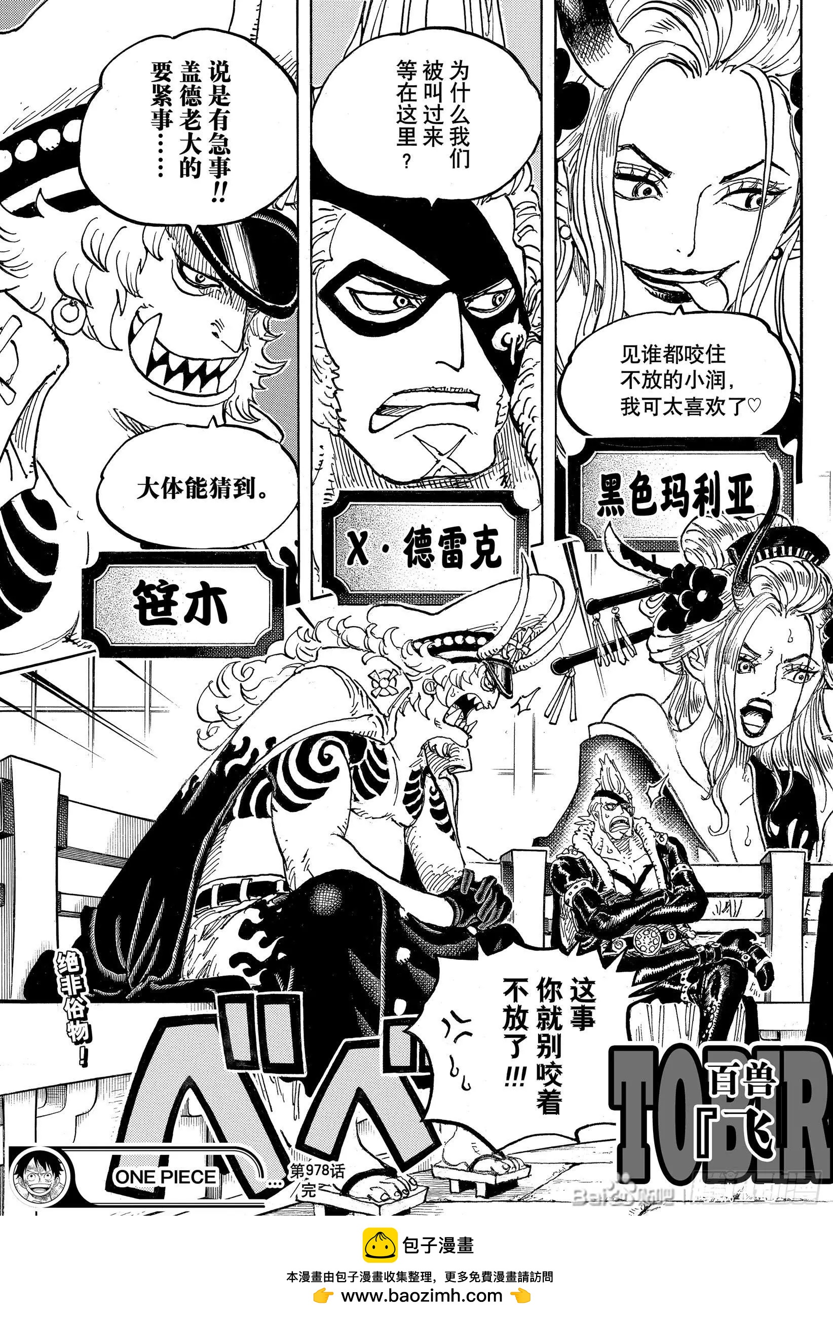 🍖ONE PIECE航海王 第978话 第17页
