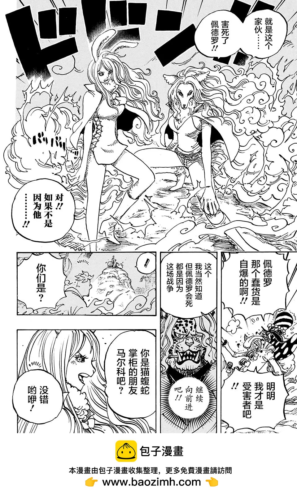 🍖ONE PIECE航海王 第995话 第17页