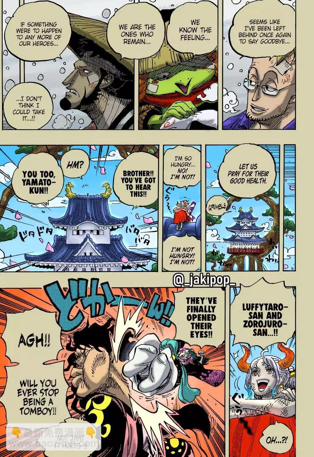 🍖ONE PIECE航海王 第1052话 第17页