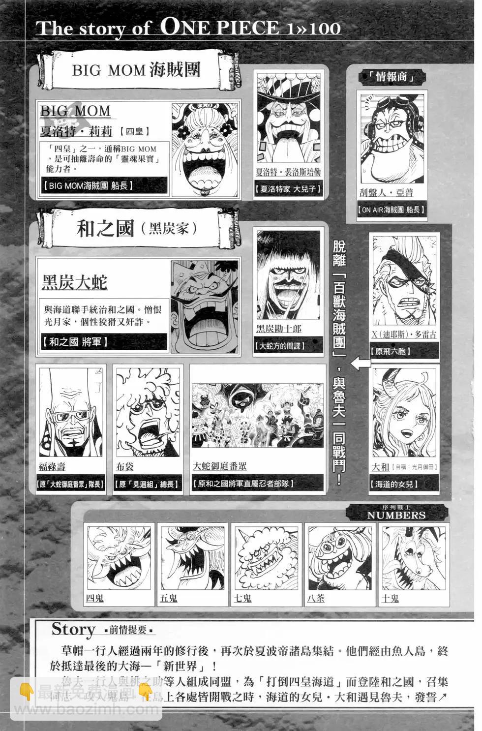 🍖ONE PIECE航海王 第100卷 第8页