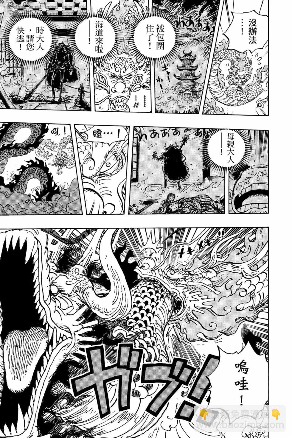 🍖ONE PIECE航海王 第102卷 第14页