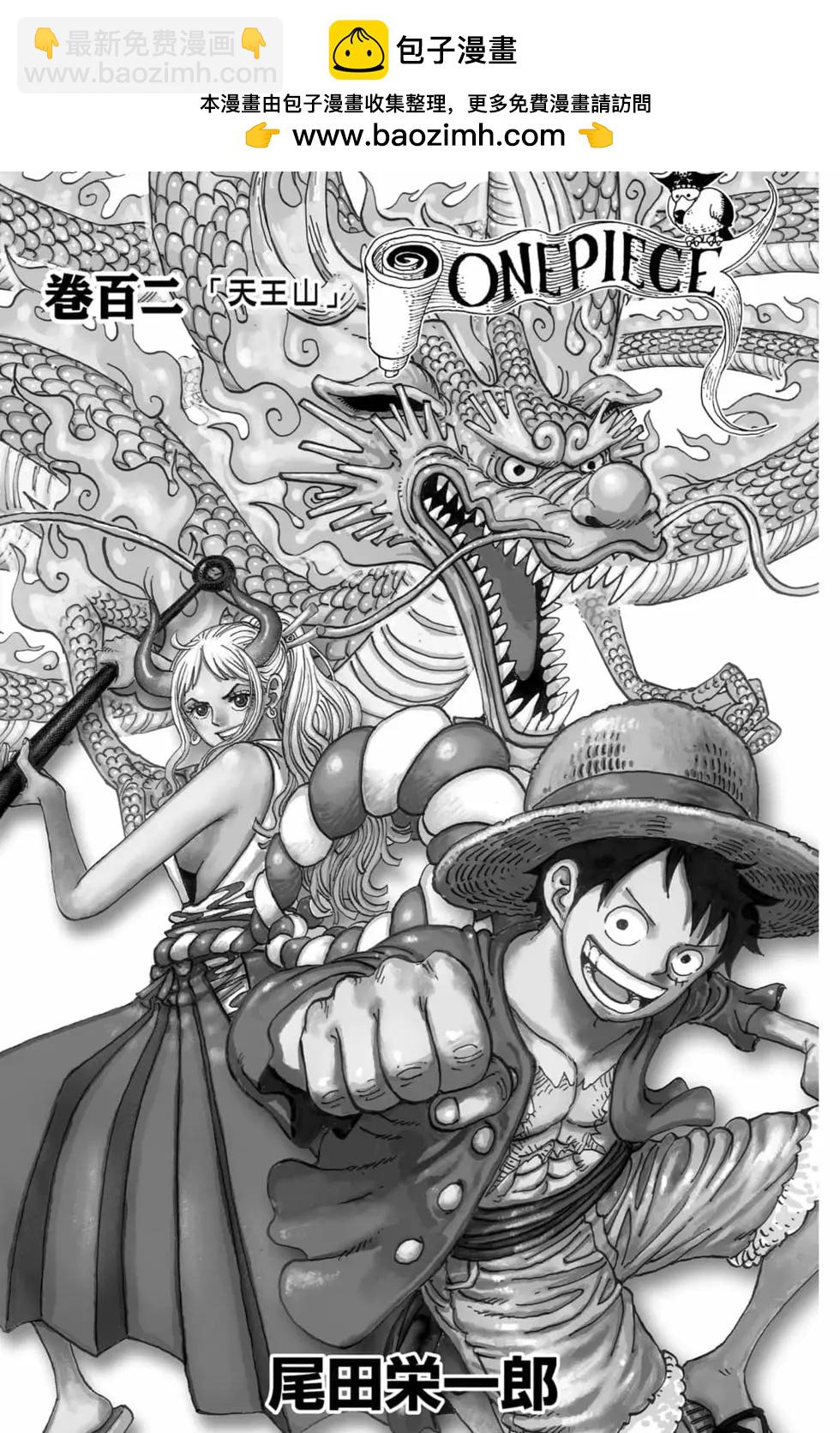 🍖ONE PIECE航海王 第102卷 第2页