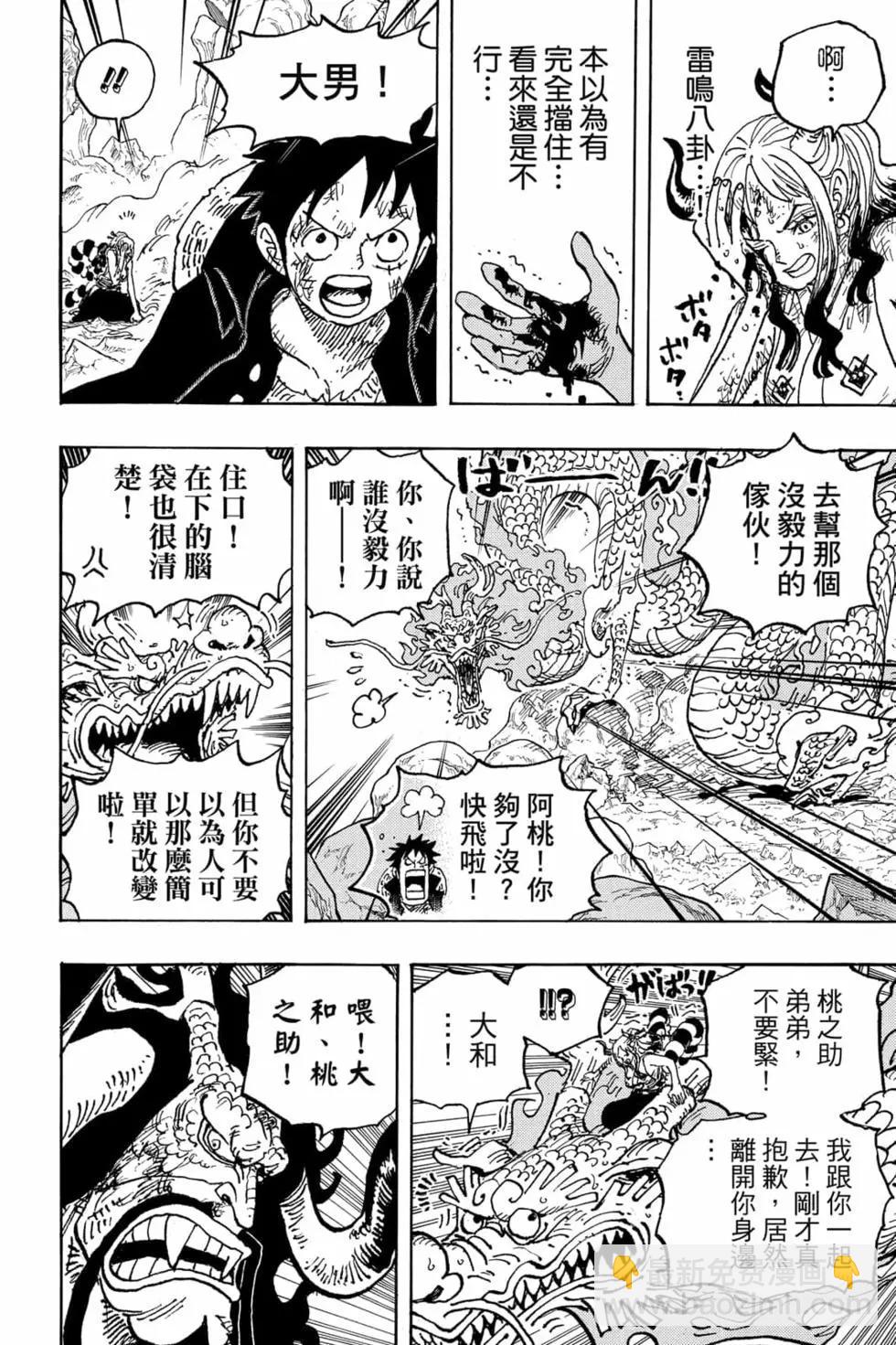 🍖ONE PIECE航海王 第102卷 第29页