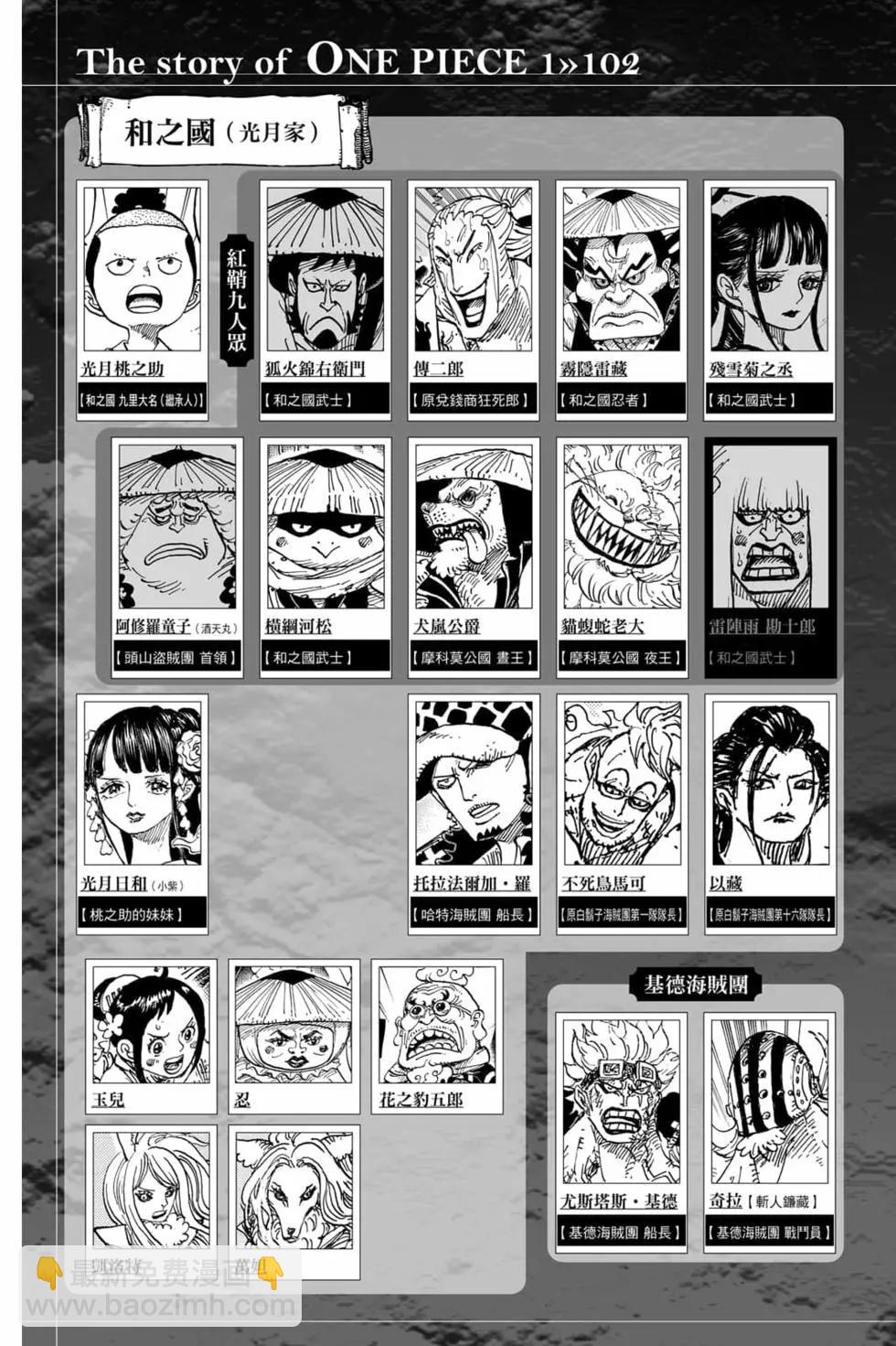 🍖ONE PIECE航海王 第102卷 第4页