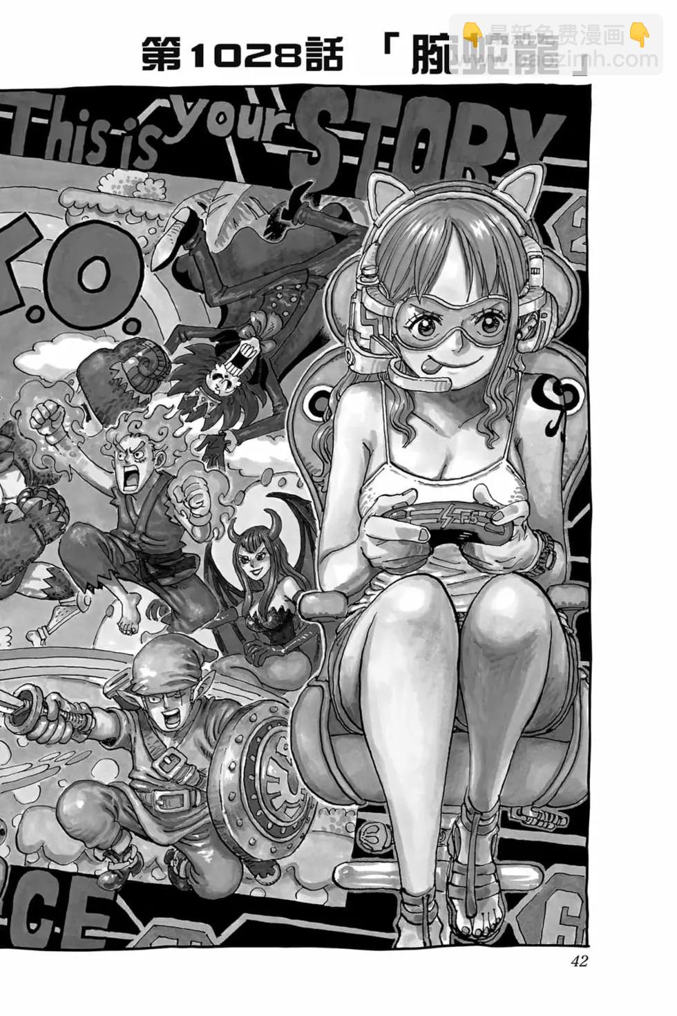 🍖ONE PIECE航海王 第102卷 第43页