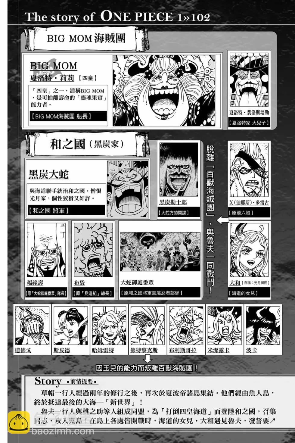 🍖ONE PIECE航海王 第102卷 第6页