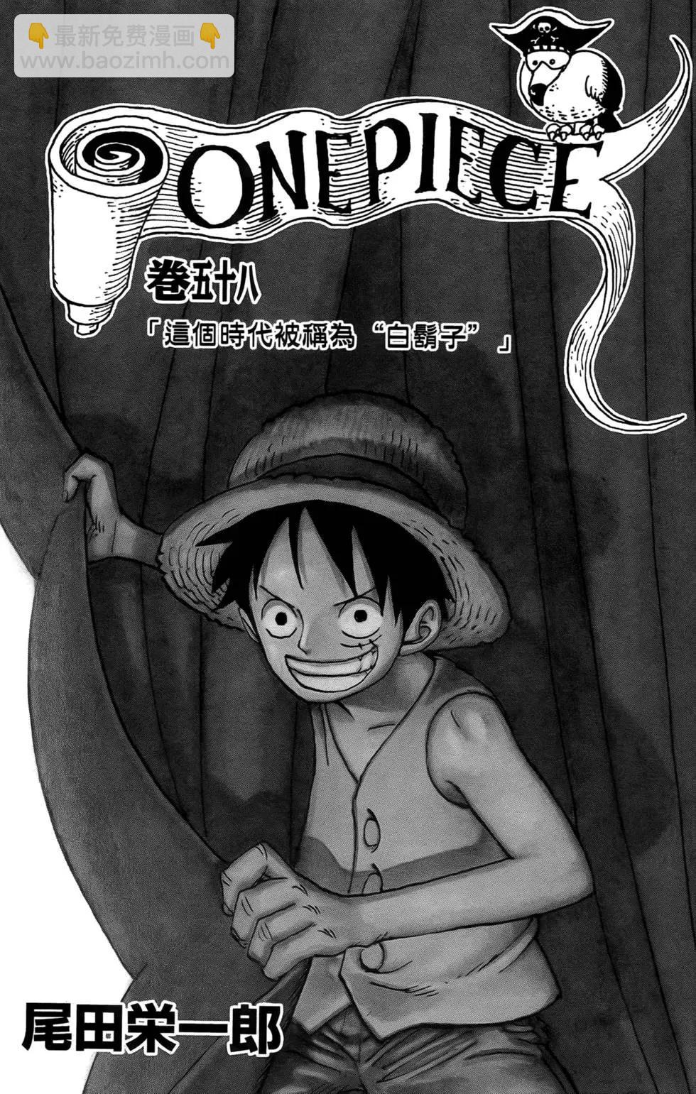 🍖ONE PIECE航海王 第58卷 第3页