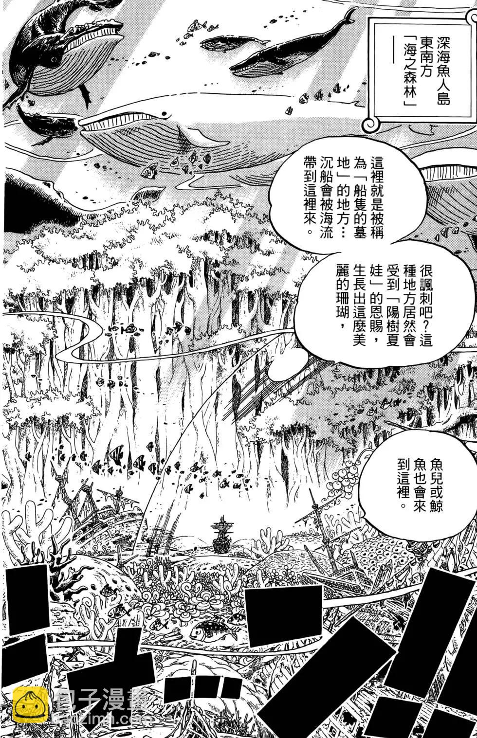 🍖ONE PIECE航海王 第63卷 第34页
