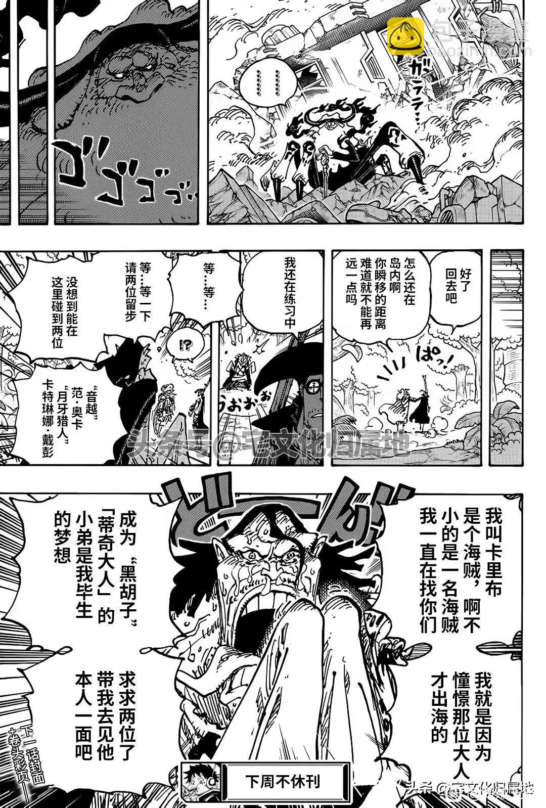 🍖ONE PIECE航海王 第1107话 第17页