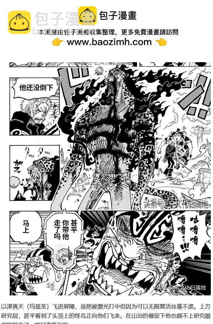 🍖ONE PIECE航海王 第1111话 第19页