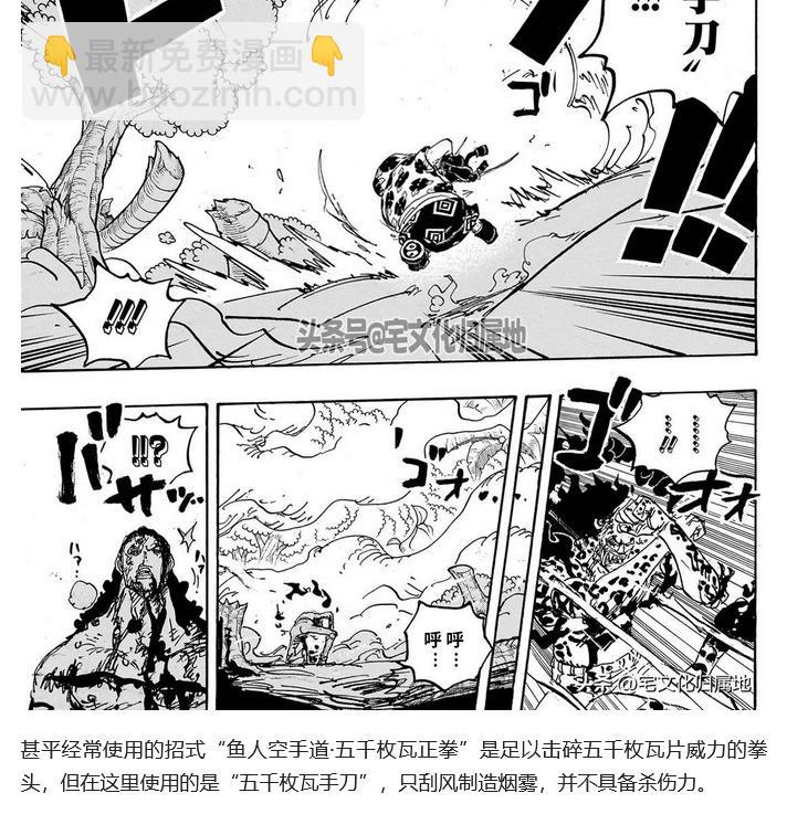🍖ONE PIECE航海王 第1111话 第20页