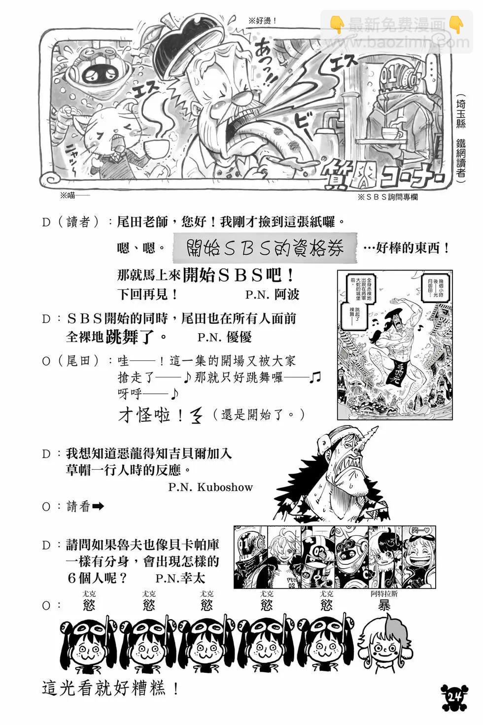 🍖ONE PIECE航海王 第111卷 第25页