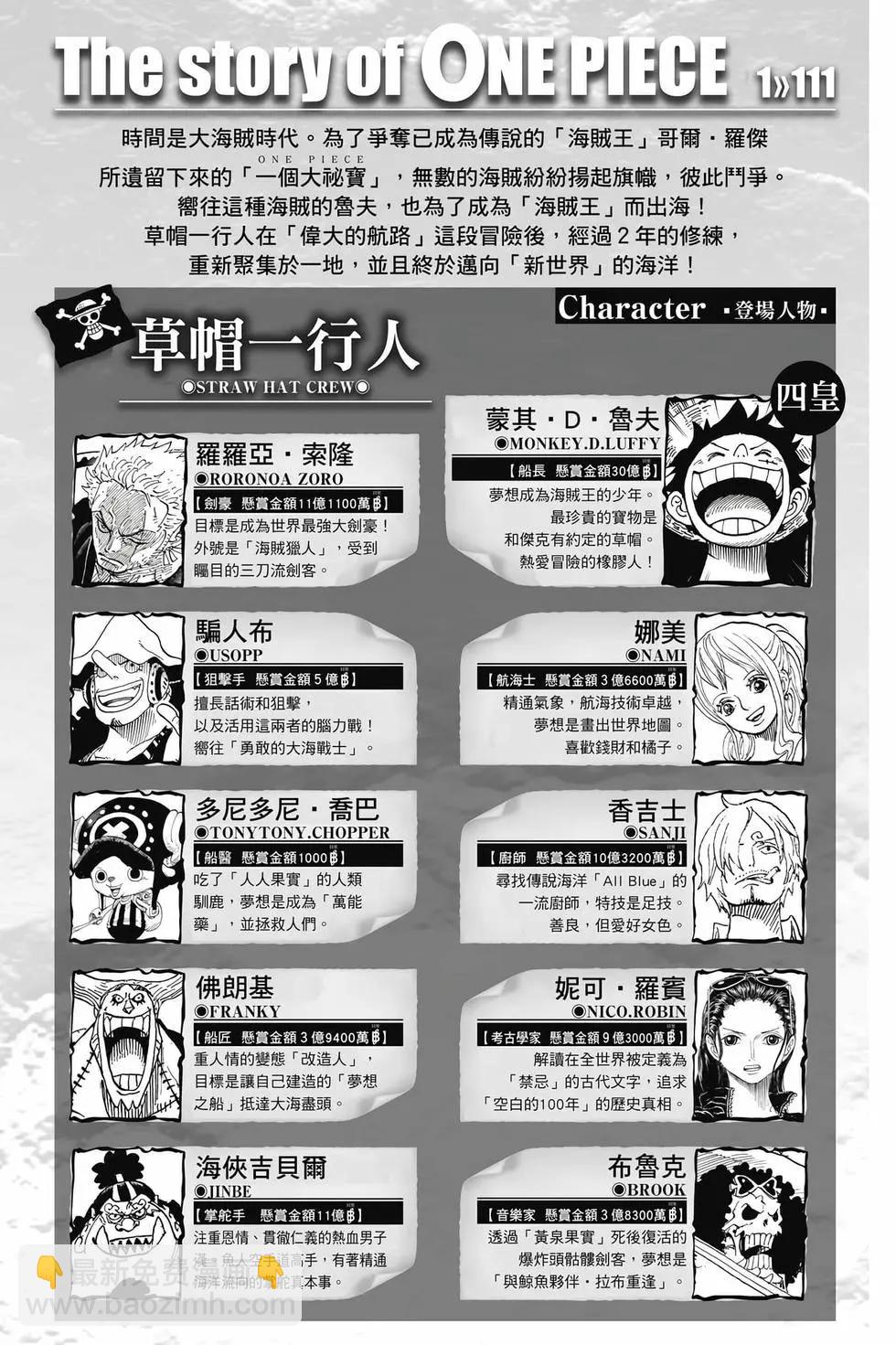 🍖ONE PIECE航海王 第111卷 第3页