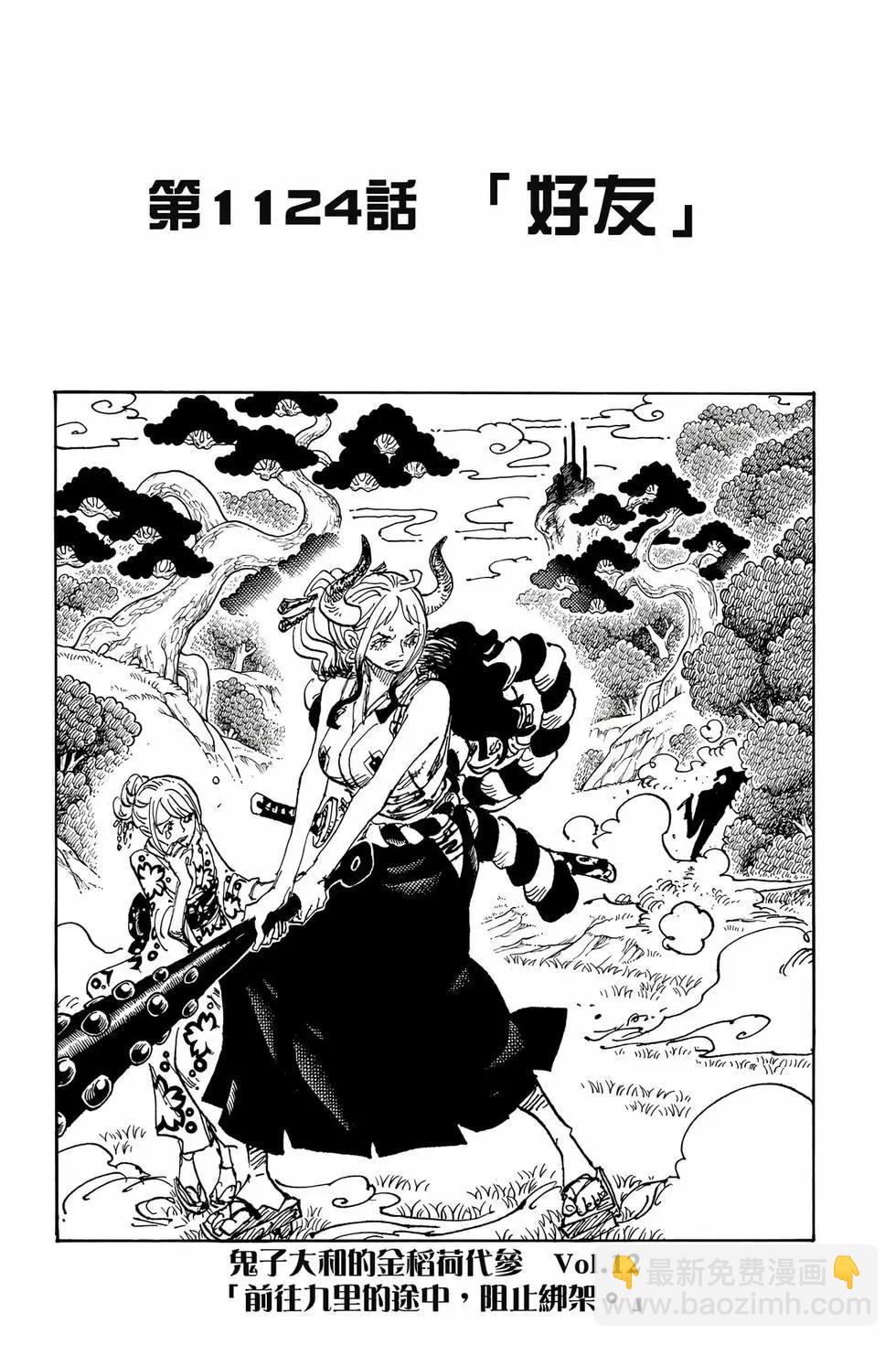 🍖ONE PIECE航海王 第111卷 第44页